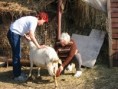 /album/meeeee/snimek-010-jpg/
